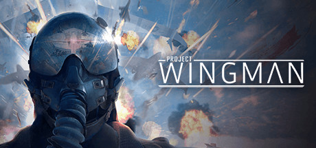 僚机计划/Project Wingman-小树基地
