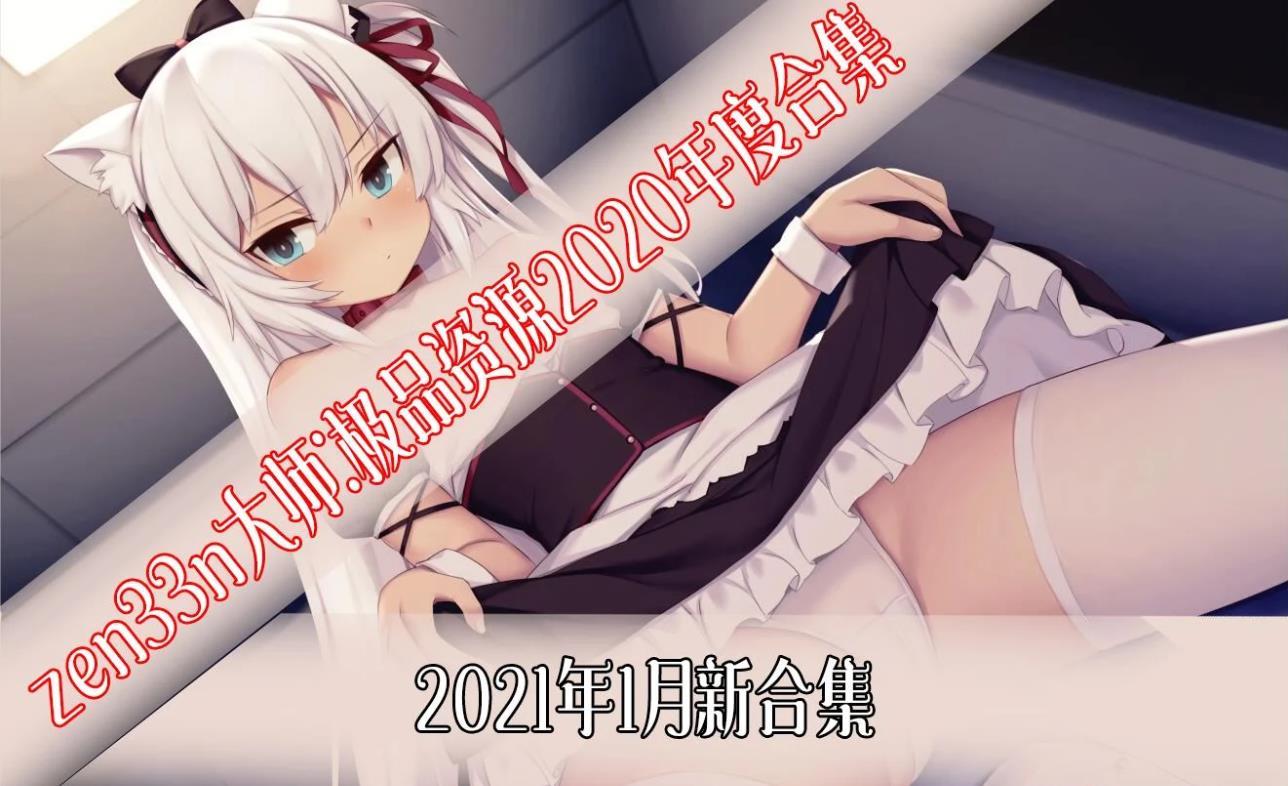 【2D同人/全动态】zen33n大师：极品2D全整合 [2020年度合集]【9G/新合集/全CV】-小树基地