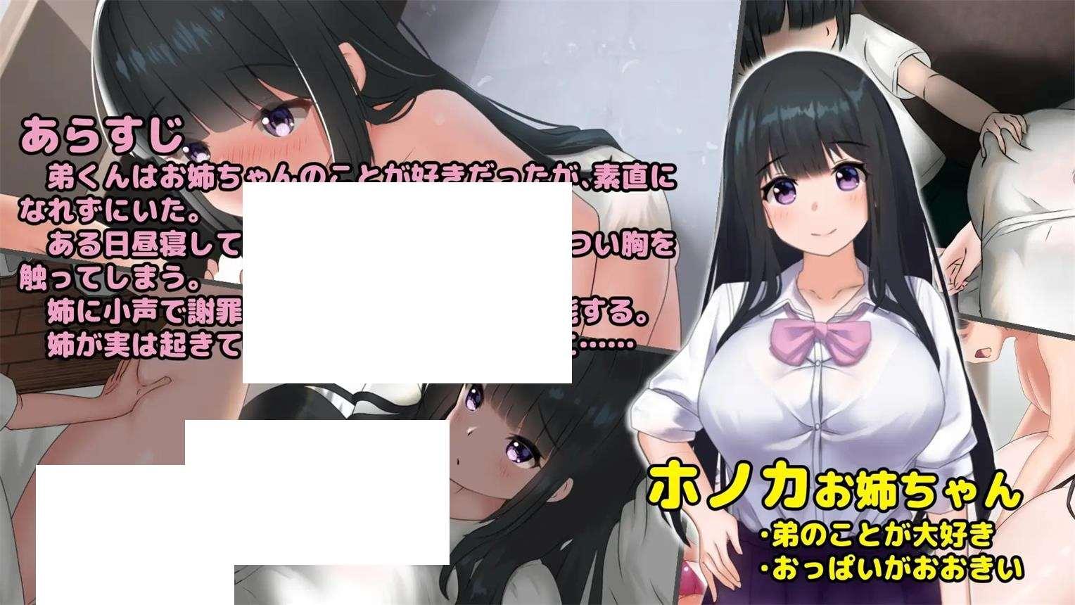 图片[4]-[日系] 【互动触摸SLG/全动态】希望被弟袭击的姐姐 LIVE2D V1.04 步冰完全版+存档【更新/CV/1.3G】