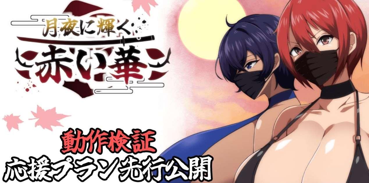 [PC-RPG游戏] 【RPG/机翻/新作/NTR】月夜に輝く赤い華 動作検証版【1.2G/度盘】[A084669]-小树基地