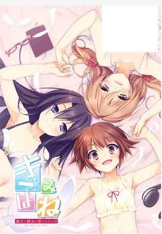 [PC-ADV游戏] 【ADV/STEAM官中/新作】君羽 / きみはね 彼女と彼女の恋する１ヶ月 多国語版[A013777]【1G/度盘】-小树基地