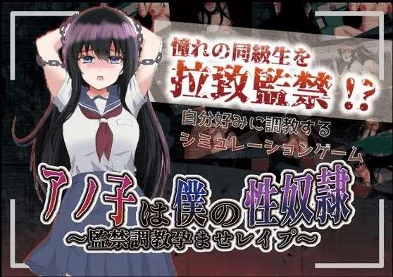 [PC-RPG游戏] 【RPG/机翻/新作】アノ子は僕の隷 〜監禁調教孕ませレイプ〜 Ver1.01[A078409]【1.9G/度盘】-小树基地