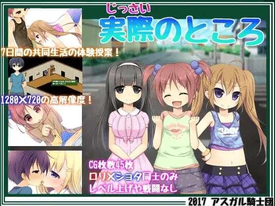 [PC-RPG游戏] 【RPG/机翻】実際のところ Ver2.01【800M/度盘】[A044571]-小树基地