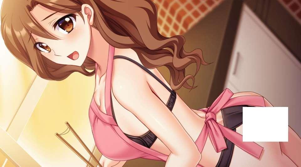 图片[2]-[PC-ADV游戏] 【ADV/GPT汉化/NTR】ギャル妻・アンリの寝取らせプレイ【1.28G/度盘】[aa5215842]