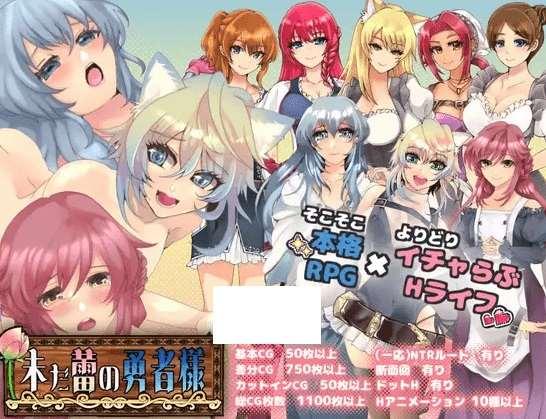 [PC-RPG游戏] 【RPG/机翻/新作】未だ蕾の勇者様 Ver1.0.2【1.6G/度盘】[A023758]-小树基地
