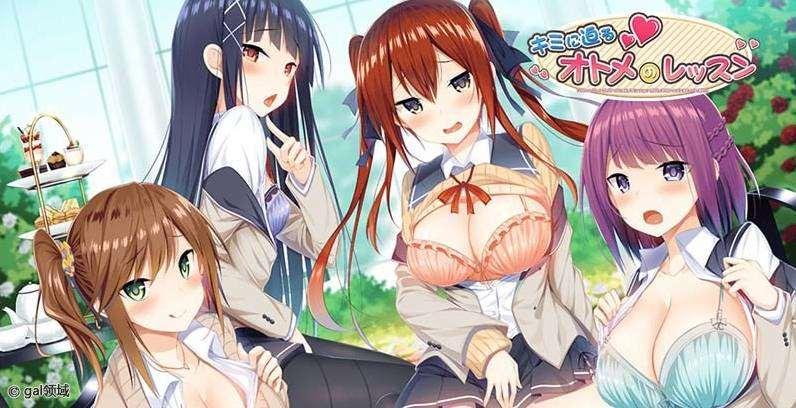 [PC/安卓ADV游戏] [拔作ADV/汉化]キミに迫るオトメのレッスン-必近你的少女 AI汉化版+全CG存档[新汉化][3.6G/百度][sw1521450]-小树基地