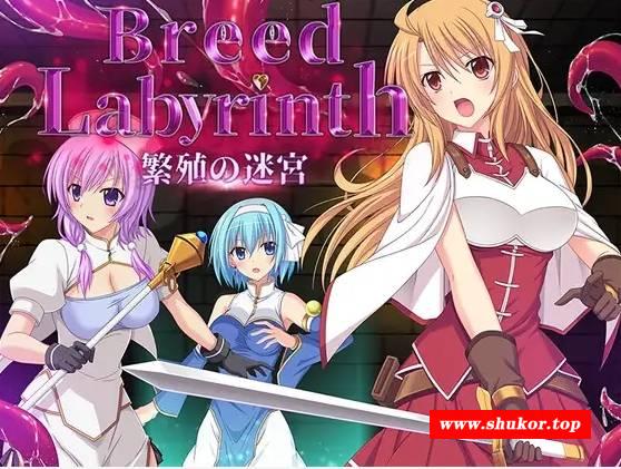 [PC-RPG游戏] 【RPG/机翻】Breed Labyrinth -繁殖の迷宮-【1G/度盘】[A089149]-小树基地