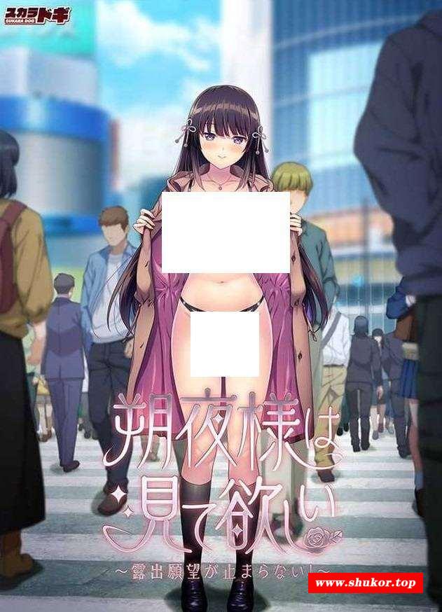 [PC-ADV游戏] 【拔作ADV/汉化】朔夜大人，请看看～无法停止的暴露愿望！～/朔夜様は見て欲しい ～露出願望が止まらない！～ AI汉化版+全CG存档[sw5156520]【700M】-小树基地
