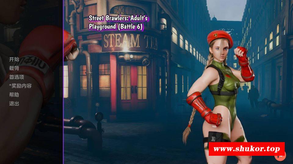 [PC-SLG游戏] [SLG/汉化] 街头斗士：成人游乐场战斗/Street Brawler: Adult Playground Battle 6 AI汉化 [833M/BD][jtdo]-小树基地