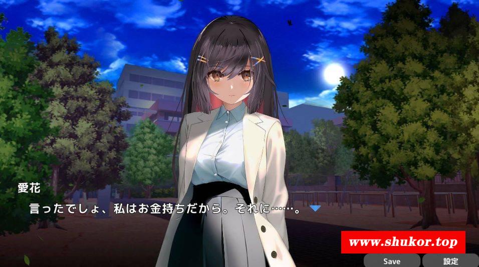 [PC-SLG游戏] [SLG/PC/官中] NTR sex with bunny girl!? Strip poker in casino…! バニーとNTR●ックス!? [253M/BD][NTSW63]-小树基地