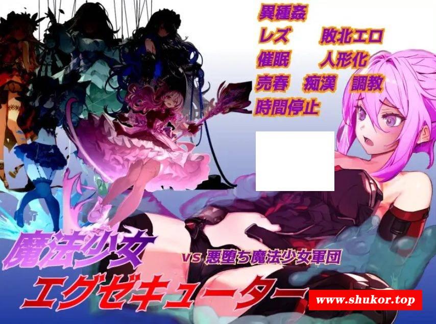 [PC-RPG游戏] [RPG/PC/机翻汉化] 魔法少女エグゼキューター vs悪堕ち魔法少女軍団 V1.23 Ver24.12.02 [BD/1G][EDMF63]-小树基地