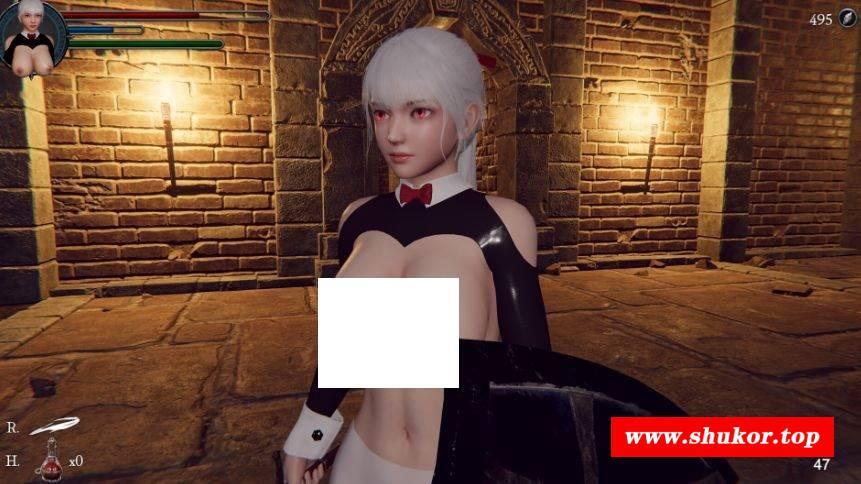 [PC-3D游戏] [3D/PC/官中] 地下城的女骑士 地下城の女騎士 Steam官中步兵版 [BD/2G][DXCD63]-小树基地