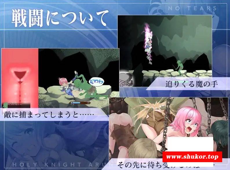 [PC-ACT游戏] [ACT/PC] 圣骑士阿尔内与魔孕的咒印 聖騎士アルネと魔孕の呪印～Another No Tears～ Ver1.0.5 [BD/1.5G][QSAL63]-小树基地