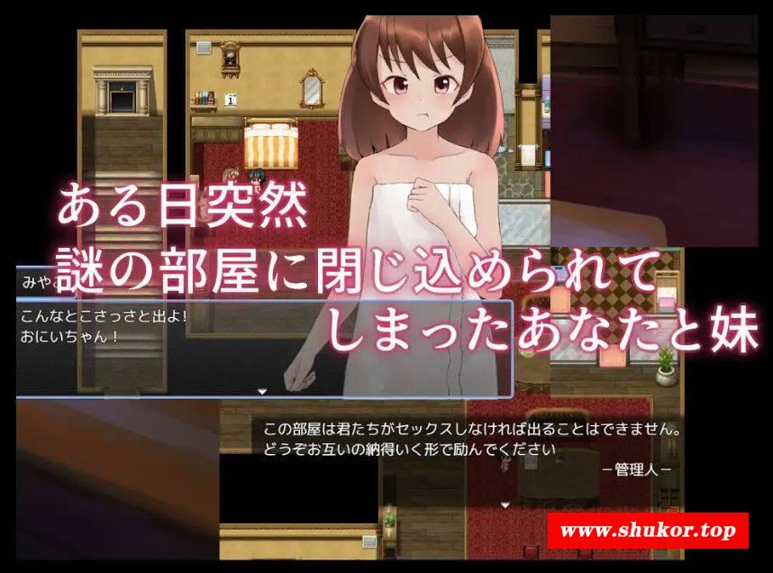 [PC-RPG游戏] [RPG/PC/AI汉化] 与妹妹发生关系才能离开的房间 妹とSEXしないと出られない部屋 [BD/330M][FSGX63]-小树基地