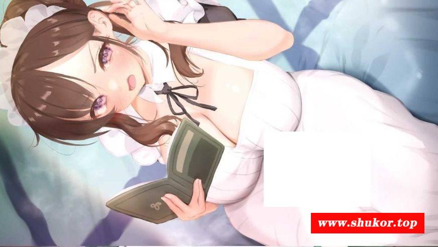 [PC-SLG游戏] 【SLG/官中】妈妈为何这样/HeMaidHerFall Ver0.3.0 STEAM官方中文版【600M/BD】[weihe0.30]-小树基地
