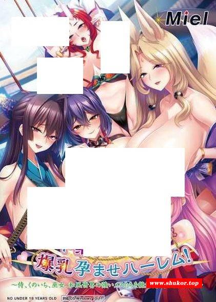 [PC-ADV游戏] [ADV/PC/AI汉化] チート緊縛術で爆乳孕ませハーレム!～侍、くのいち、巫女、和風世界の強いメスたちを絶対忠誠のオナホに!～ [BD/1G][JFBR63]-小树基地