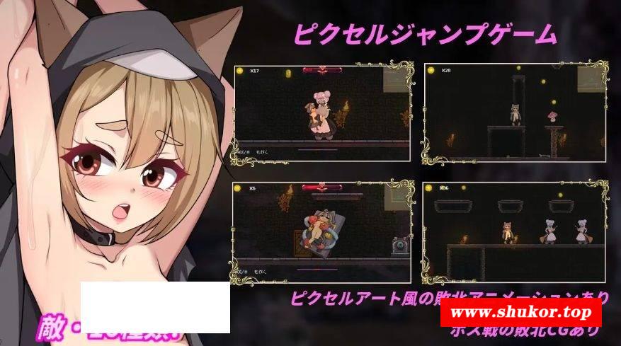 [PC-ACT游戏] [ACT/PC/官中] 隐匿在欲望之城的异世界 欲望の城に隠された異世界 v1.0.2 官中步兵版 [BD/700M][YNYW63]-小树基地